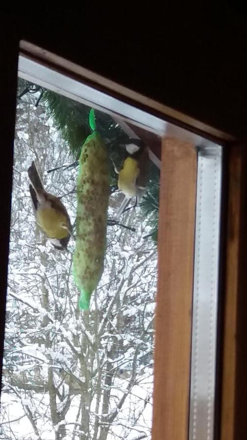Appartement Mia Ginzling Kültér fotó